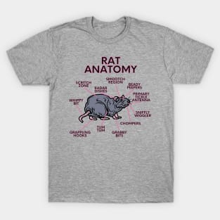 Rat anatomy T-Shirt